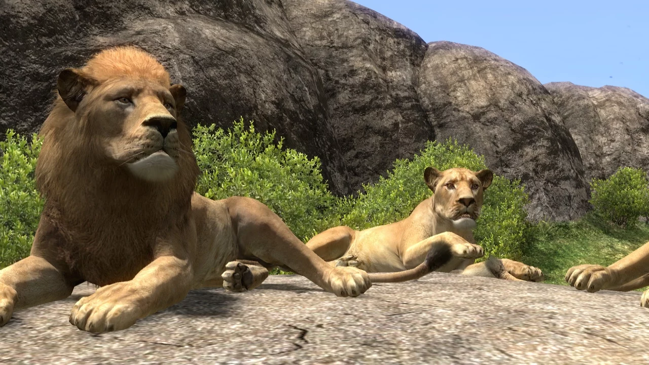 Изображение игры: Afrika