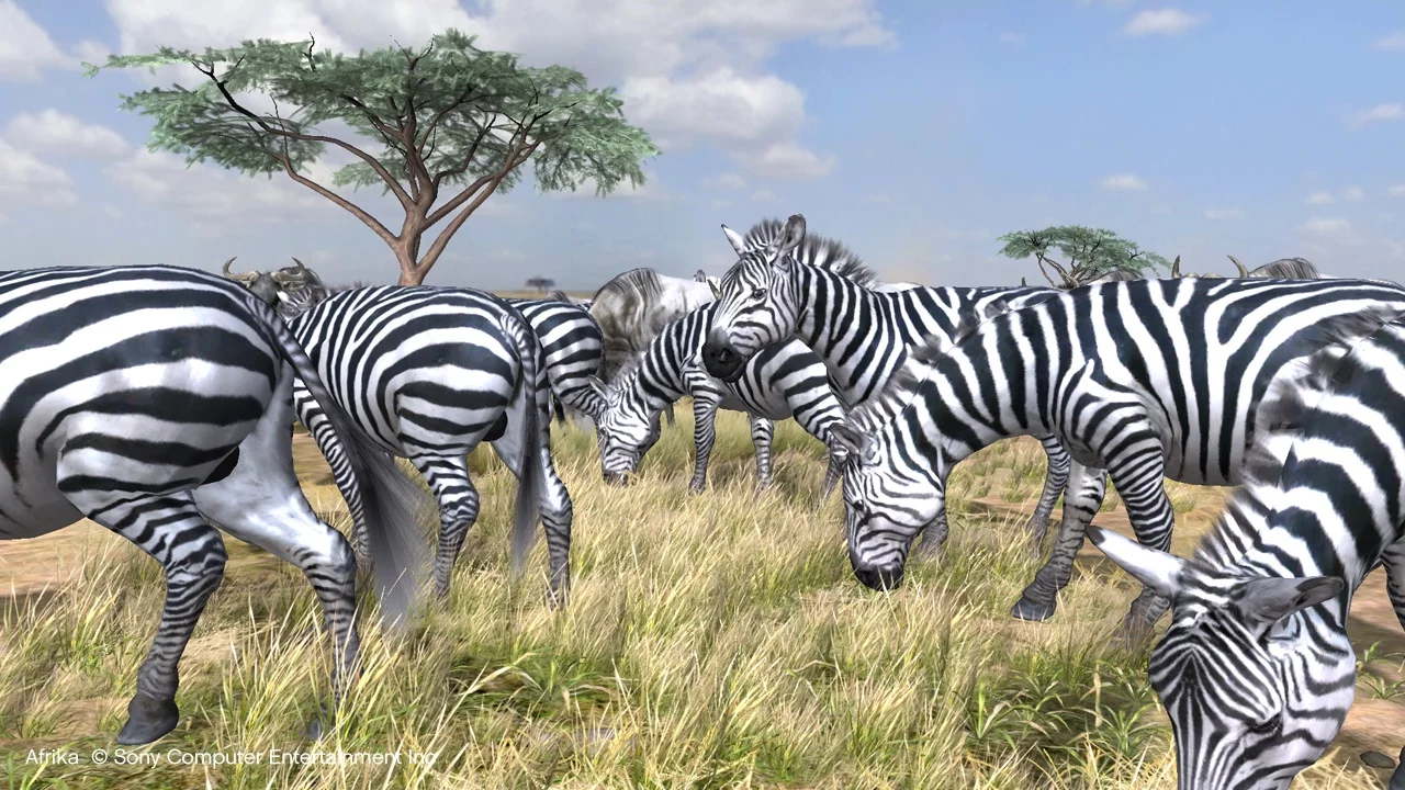 Изображение игры: Afrika