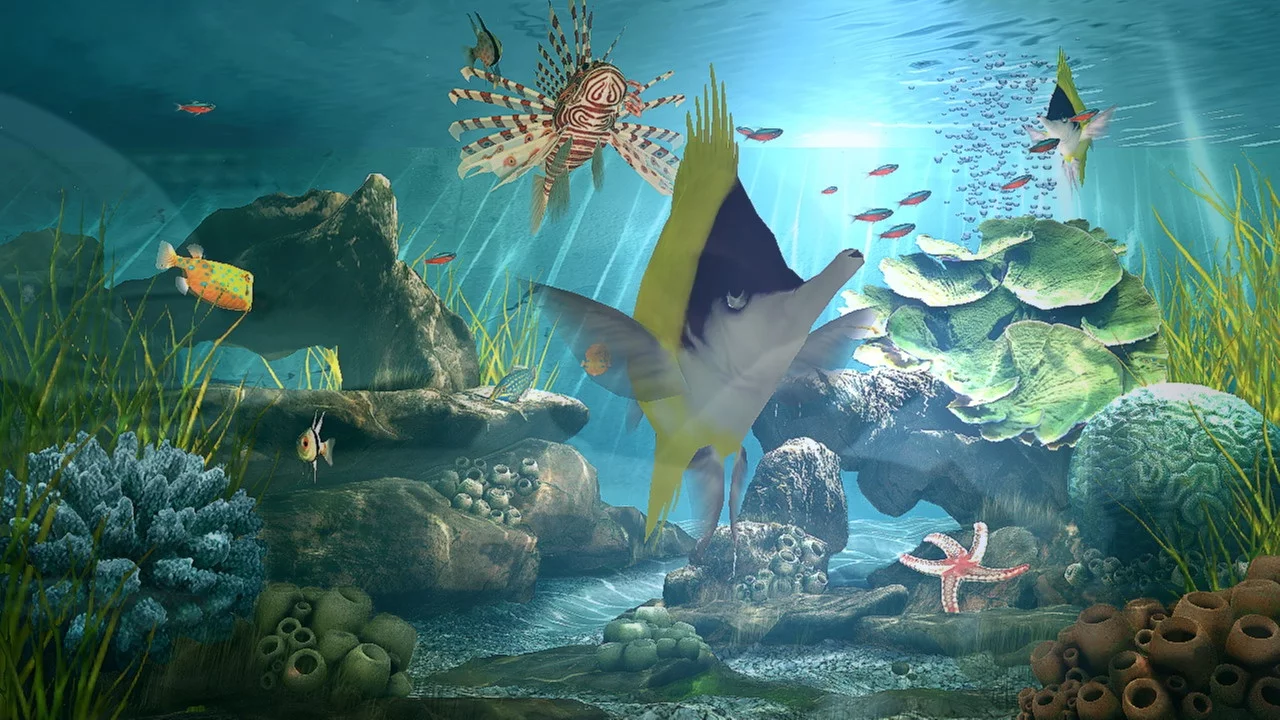 Изображение игры: Aquatopia