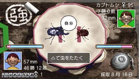 Изображение игры: Boku no Natsuyasumi Portable: Mushi Mushi Hakase to Teppen-yama no Himitsu!!