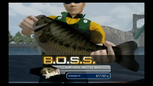 Изображение игры: Hooked: Real Motion Fishing