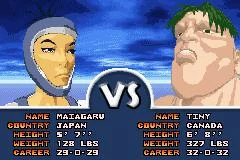Изображение игры: Boxing Fever