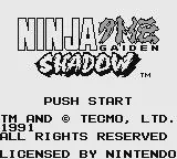 Изображение игры: Ninja Gaiden Shadow