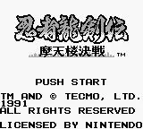 Изображение игры: Ninja Gaiden Shadow