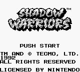 Изображение игры: Ninja Gaiden Shadow