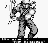 Изображение игры: Ninja Gaiden Shadow