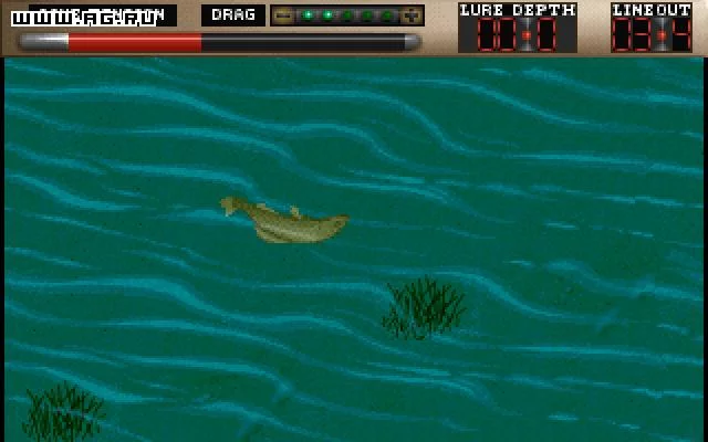 Изображение игры: TNN Outdoors Bass Tournament '96