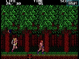Изображение игры: Danan: The Jungle Fighter