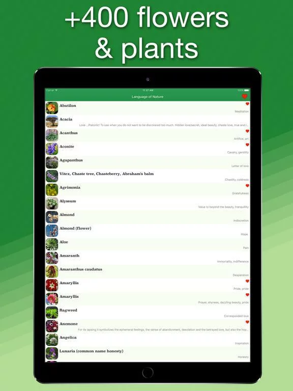 Изображение игры: Language of Nature