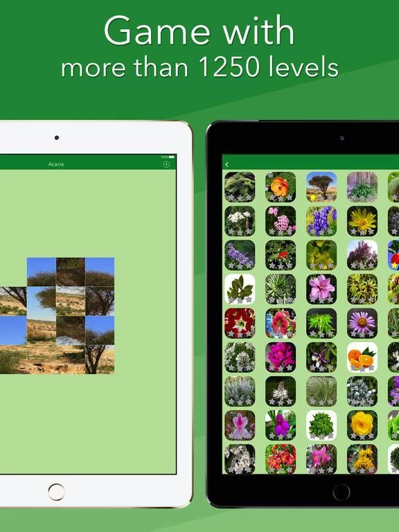 Изображение игры: Language of Nature