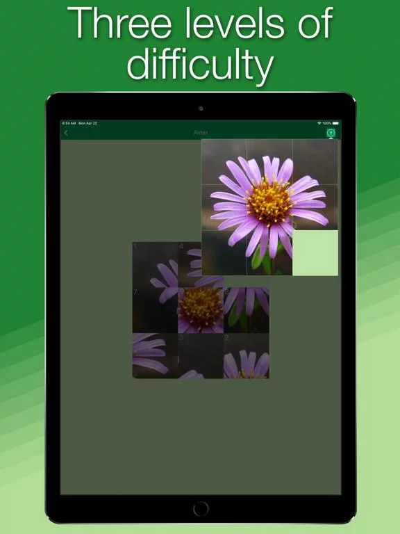 Изображение игры: Language of Nature