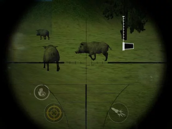 Изображение игры: Jungle Animal Hunter Pro 2017