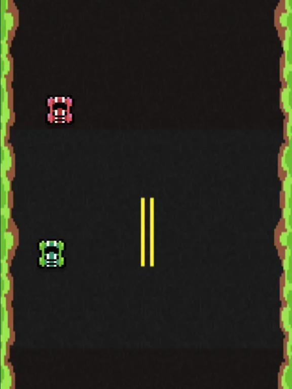 Изображение игры: Fast Track Racer