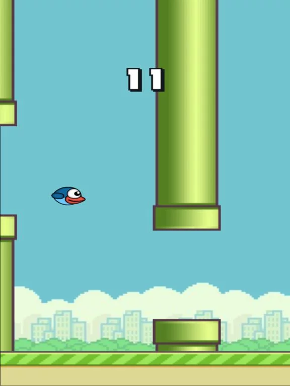 Изображение игры: Gravity Bird!