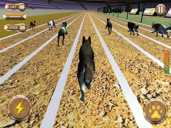 Изображение игры: Greyhound Racing Tournament 2