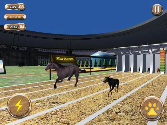 Изображение игры: Greyhound Racing Tournament 2