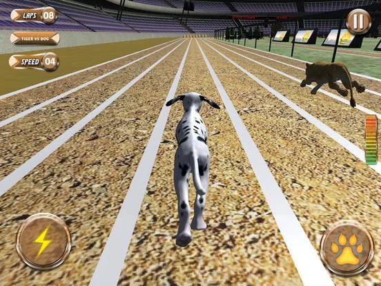 Изображение игры: Greyhound Racing Tournament 2