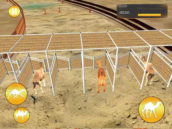Изображение игры: Desert King Camel Race