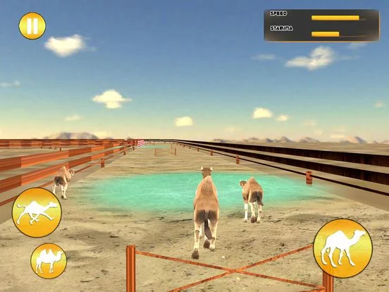 Изображение игры: Desert King Camel Race