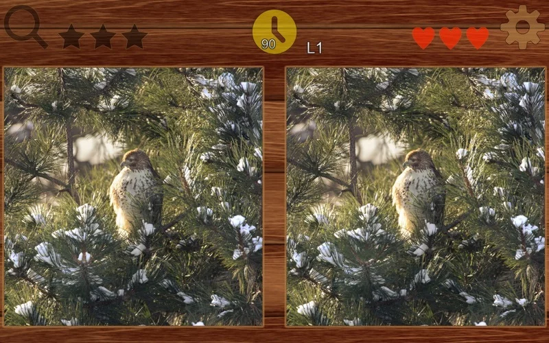 Изображение игры: Find Different - picFind