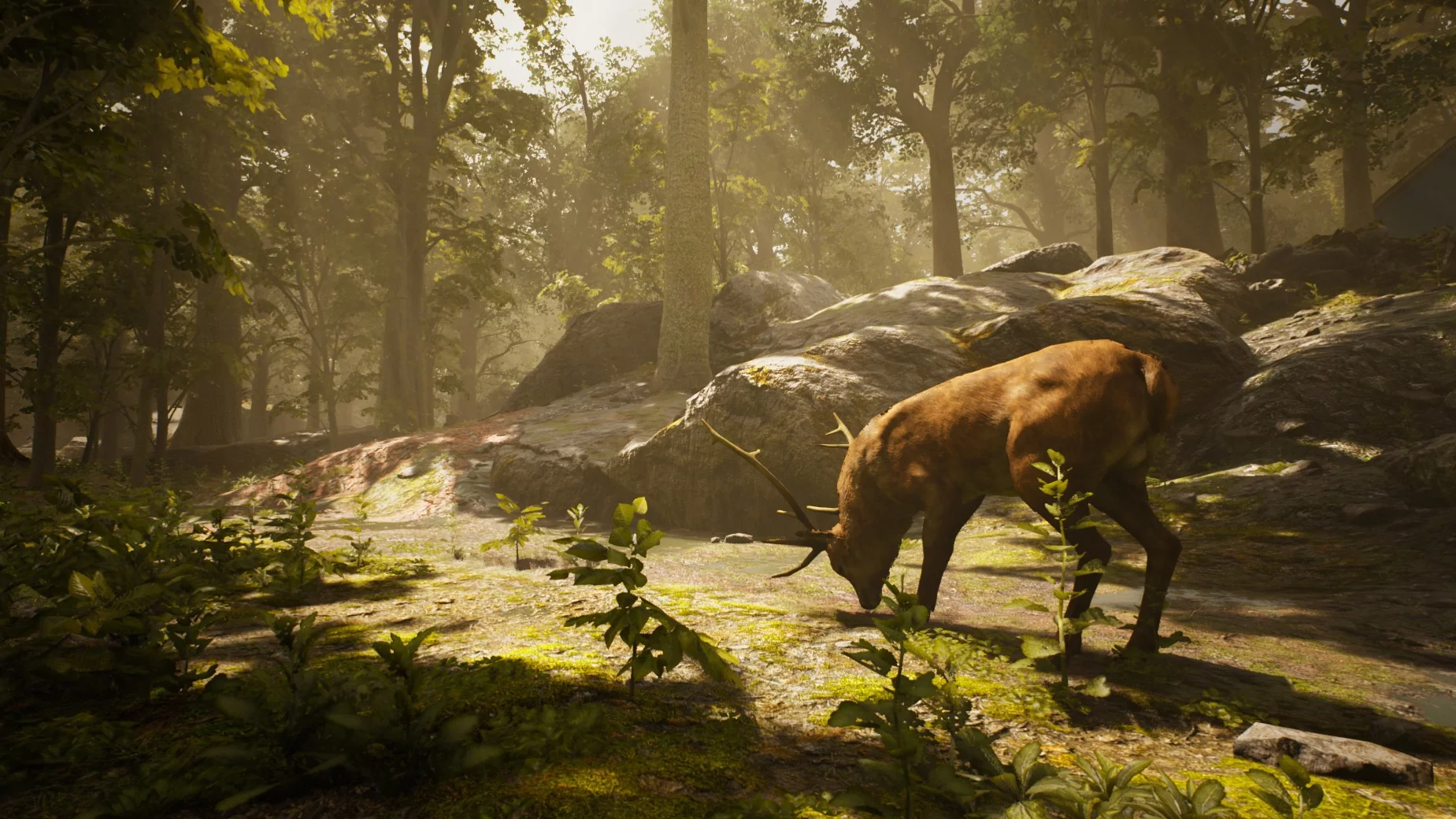 Изображение игры: Trapper Simulator
