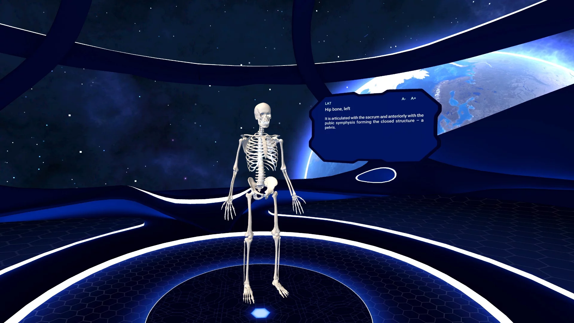 Изображение игры: Human Anatomy VR