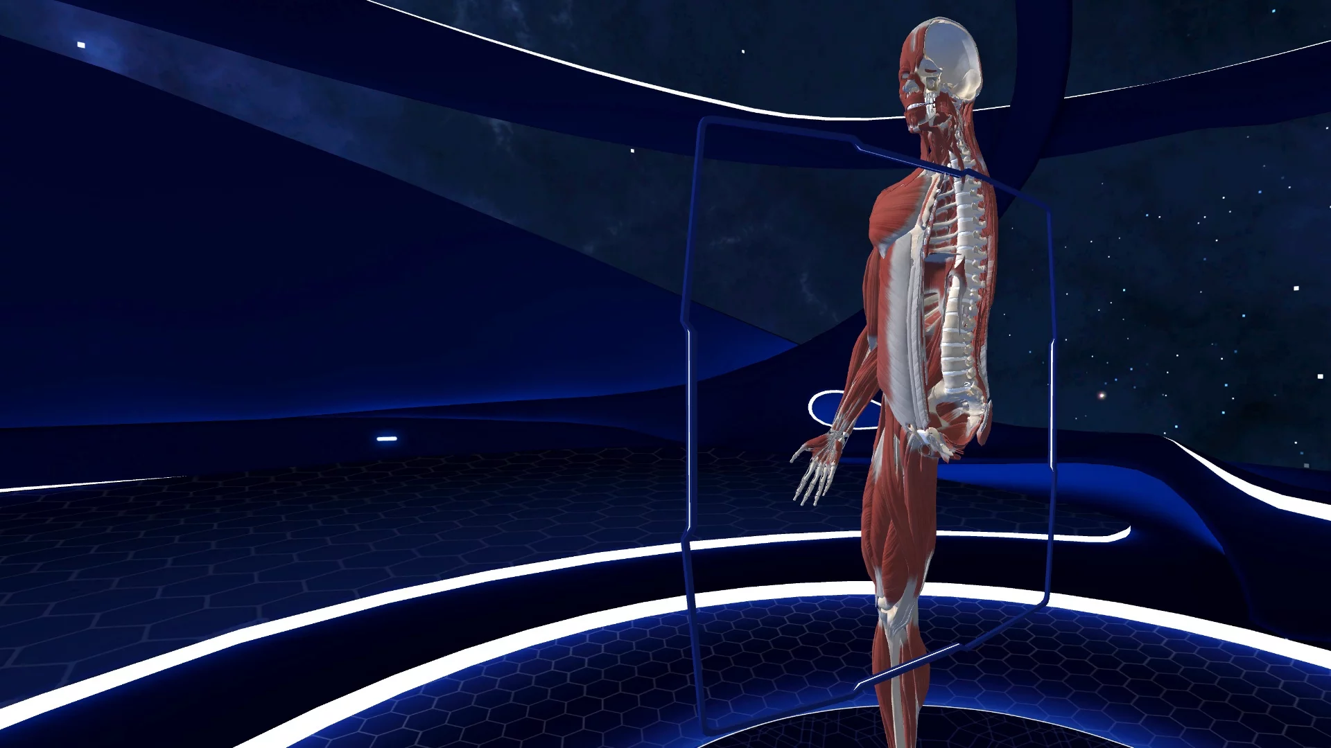 Изображение игры: Human Anatomy VR