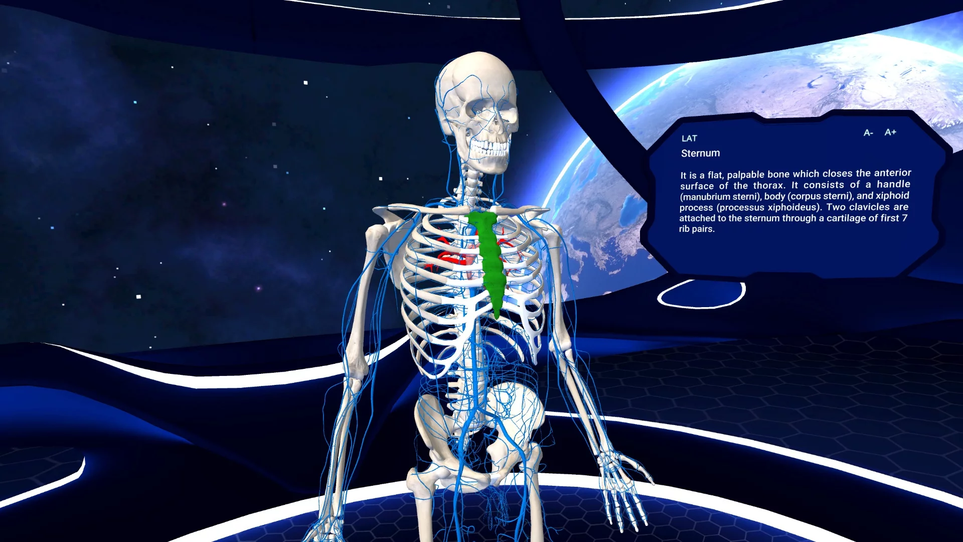 Изображение игры: Human Anatomy VR