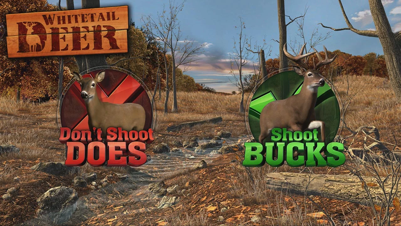 Изображение игры: Big Buck Hunter Arcade