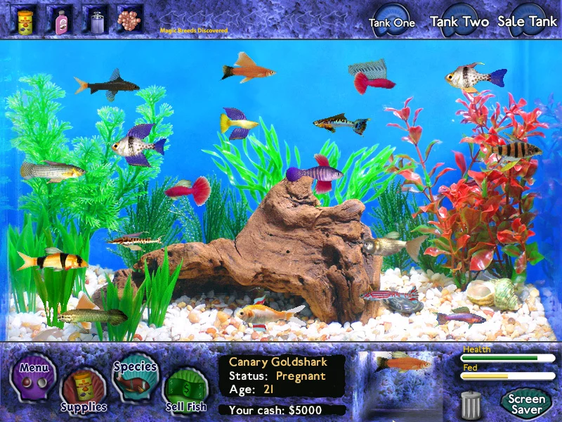 Изображение игры: Fish Tycoon