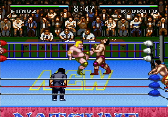 Изображение игры: Natsume Championship Wrestling