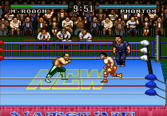Изображение игры: Natsume Championship Wrestling