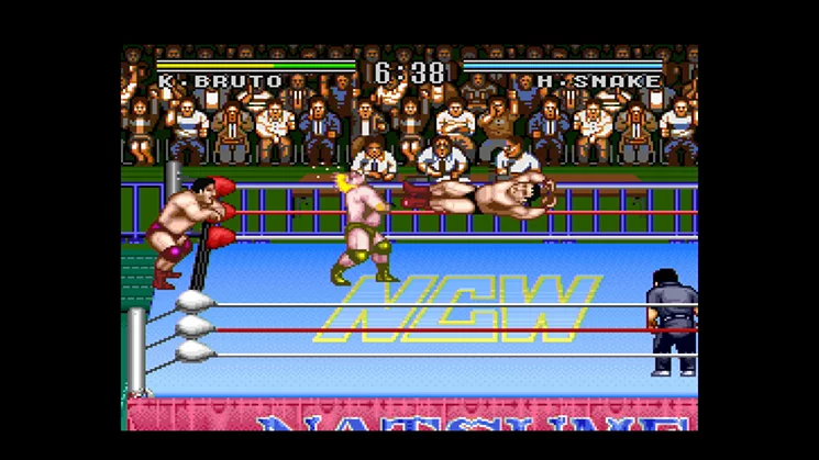 Изображение игры: Natsume Championship Wrestling