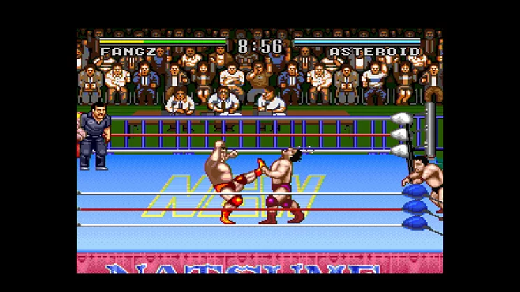 Изображение игры: Natsume Championship Wrestling
