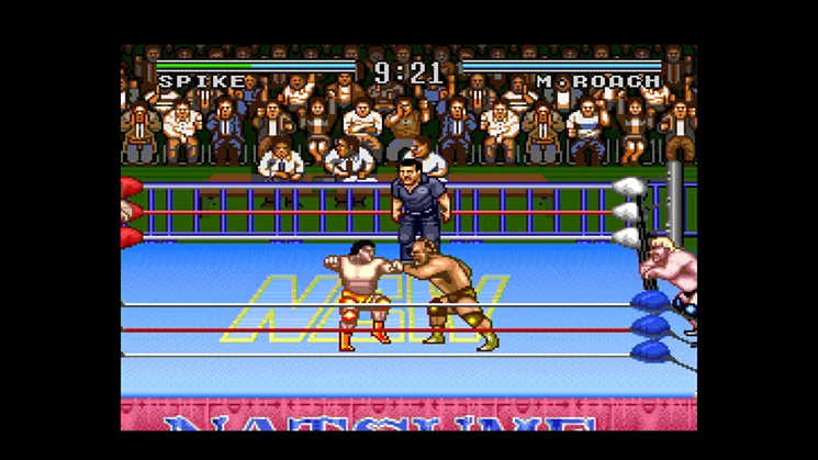 Изображение игры: Natsume Championship Wrestling