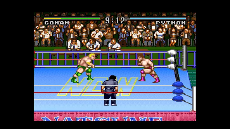 Изображение игры: Natsume Championship Wrestling