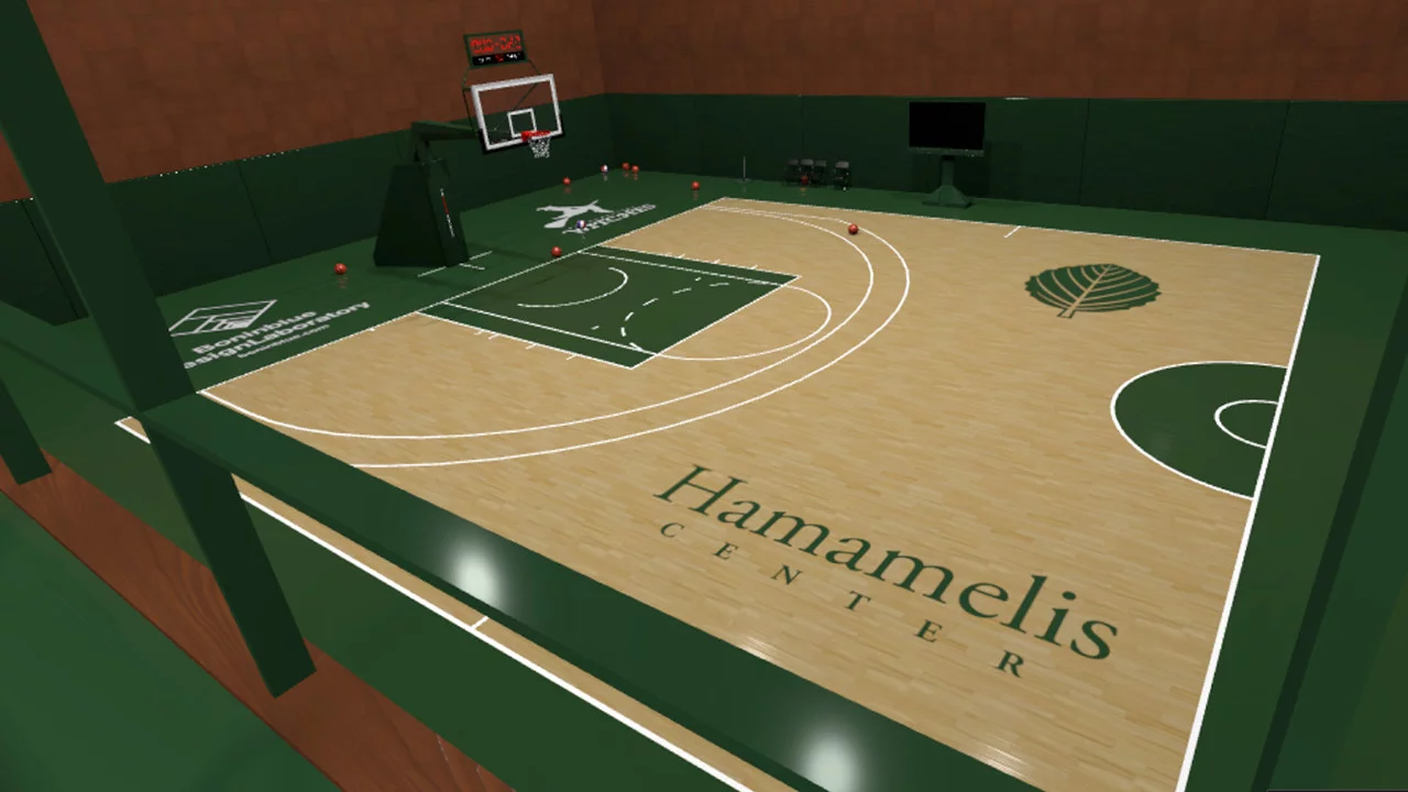 Изображение игры: VR SHOOT AROUND - Rialistic basketball simulator