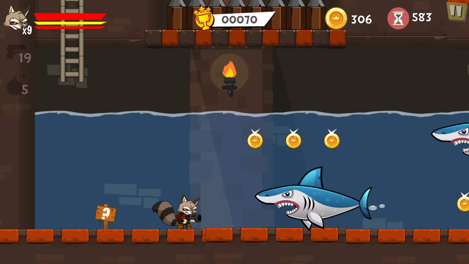 Изображение игры: Combat Raccoon