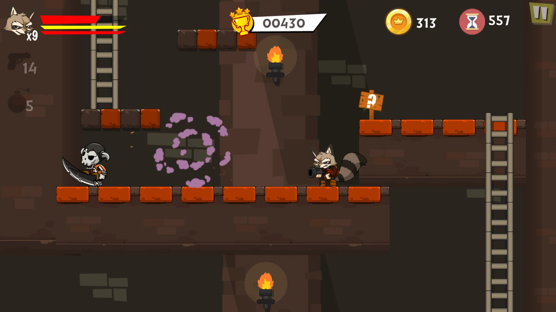 Изображение игры: Combat Raccoon