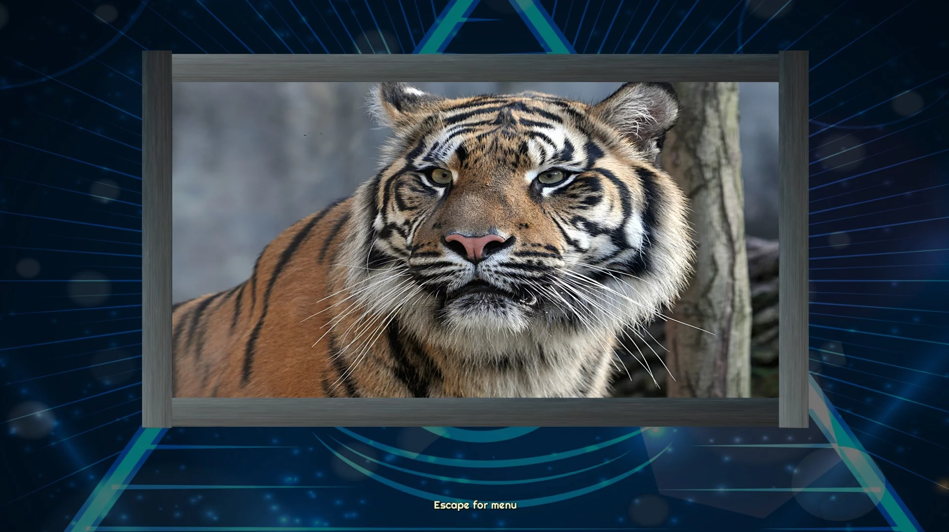 Изображение игры: Trials of the Illuminati: Amazing Wildlife Jigsaws