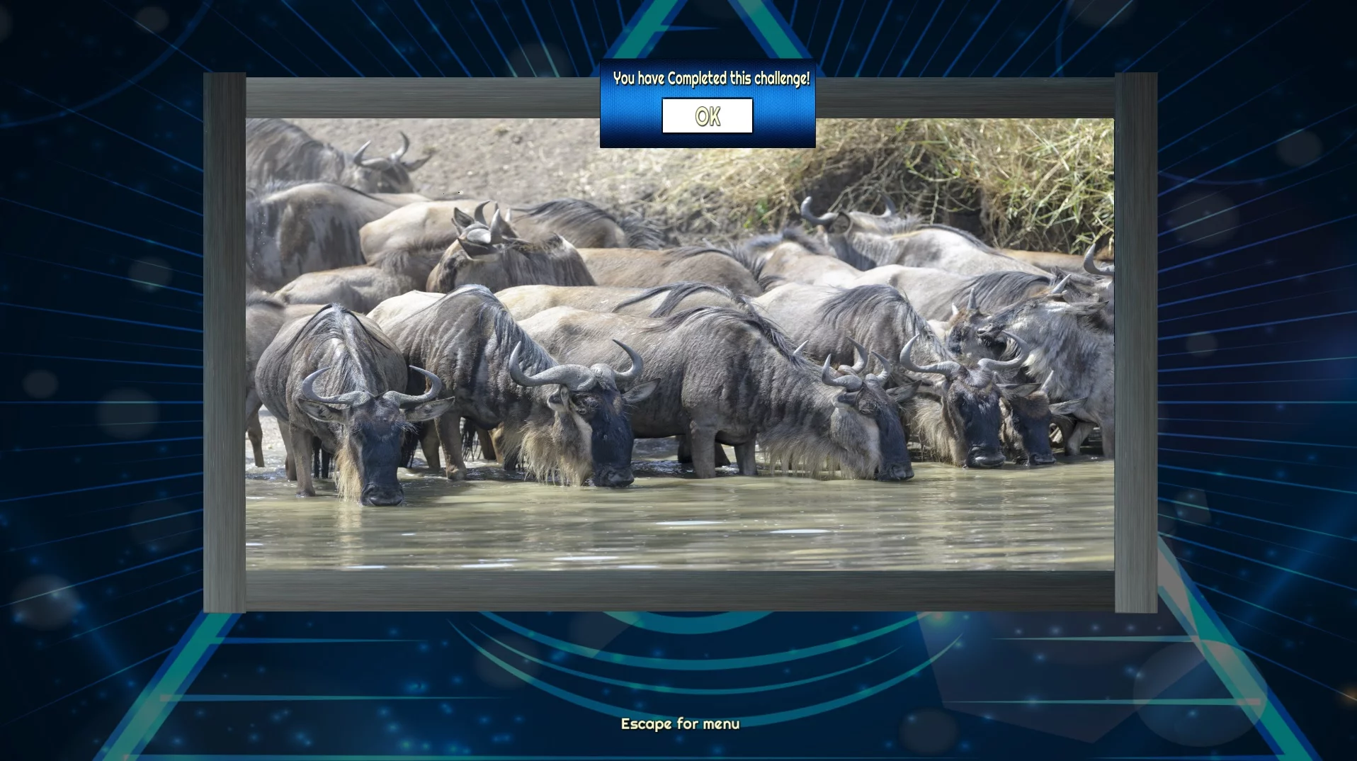 Изображение игры: Trials of the Illuminati: Amazing Wildlife Jigsaws