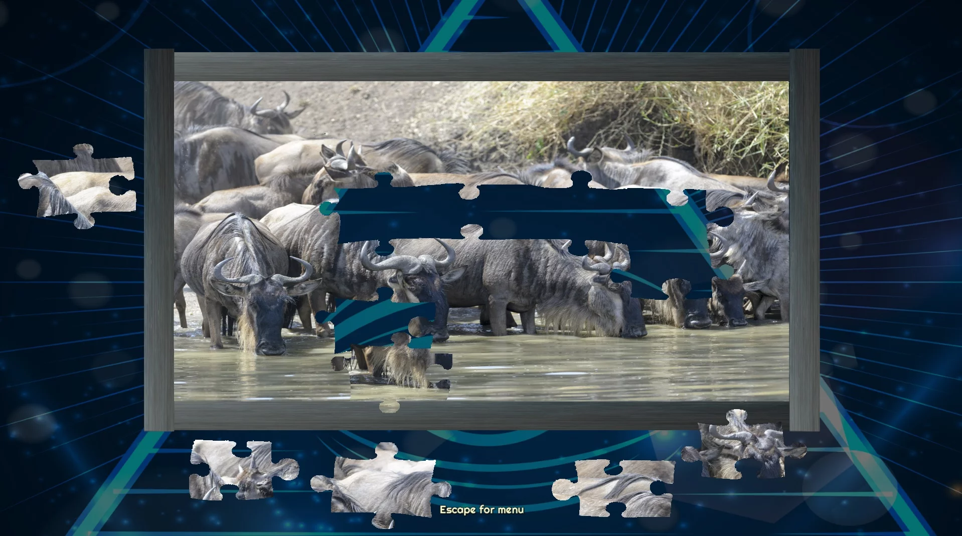Изображение игры: Trials of the Illuminati: Amazing Wildlife Jigsaws