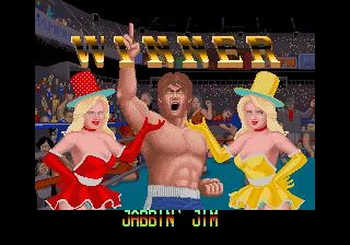 Изображение игры: The Final Round