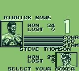 Изображение игры: Riddick Bowe Boxing