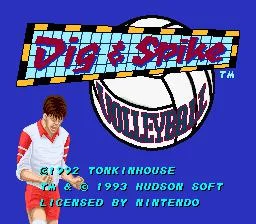 Изображение игры: Dig & Spike Volleyball
