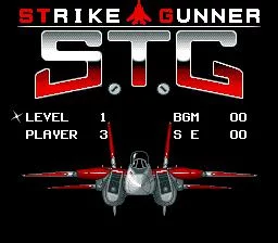Изображение игры: Strike Gunner S.T.G.