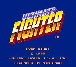 Изображение игры: Ultimate Fighter