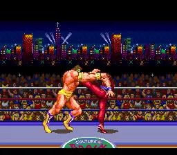 Изображение игры: Ultimate Fighter