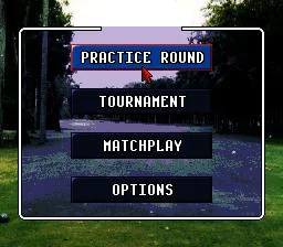 Изображение игры: World Masters Golf