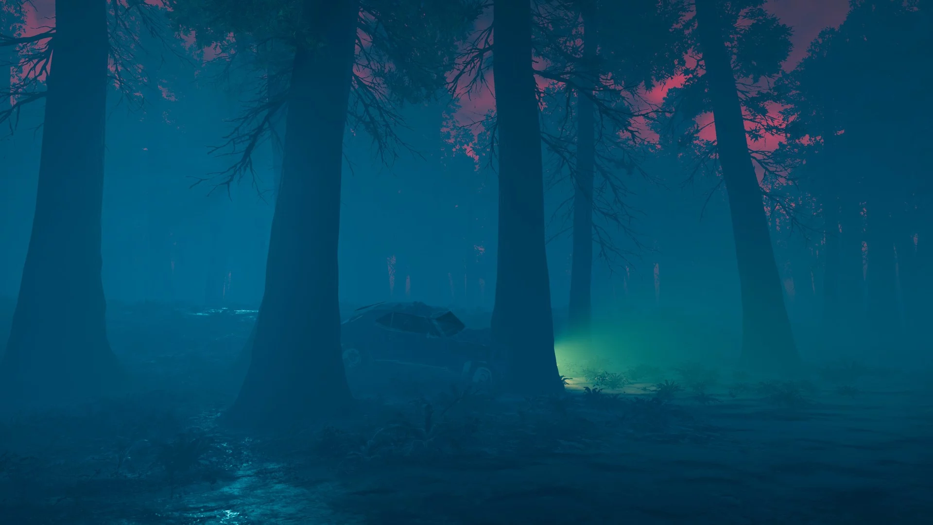 Изображение игры: The Woods